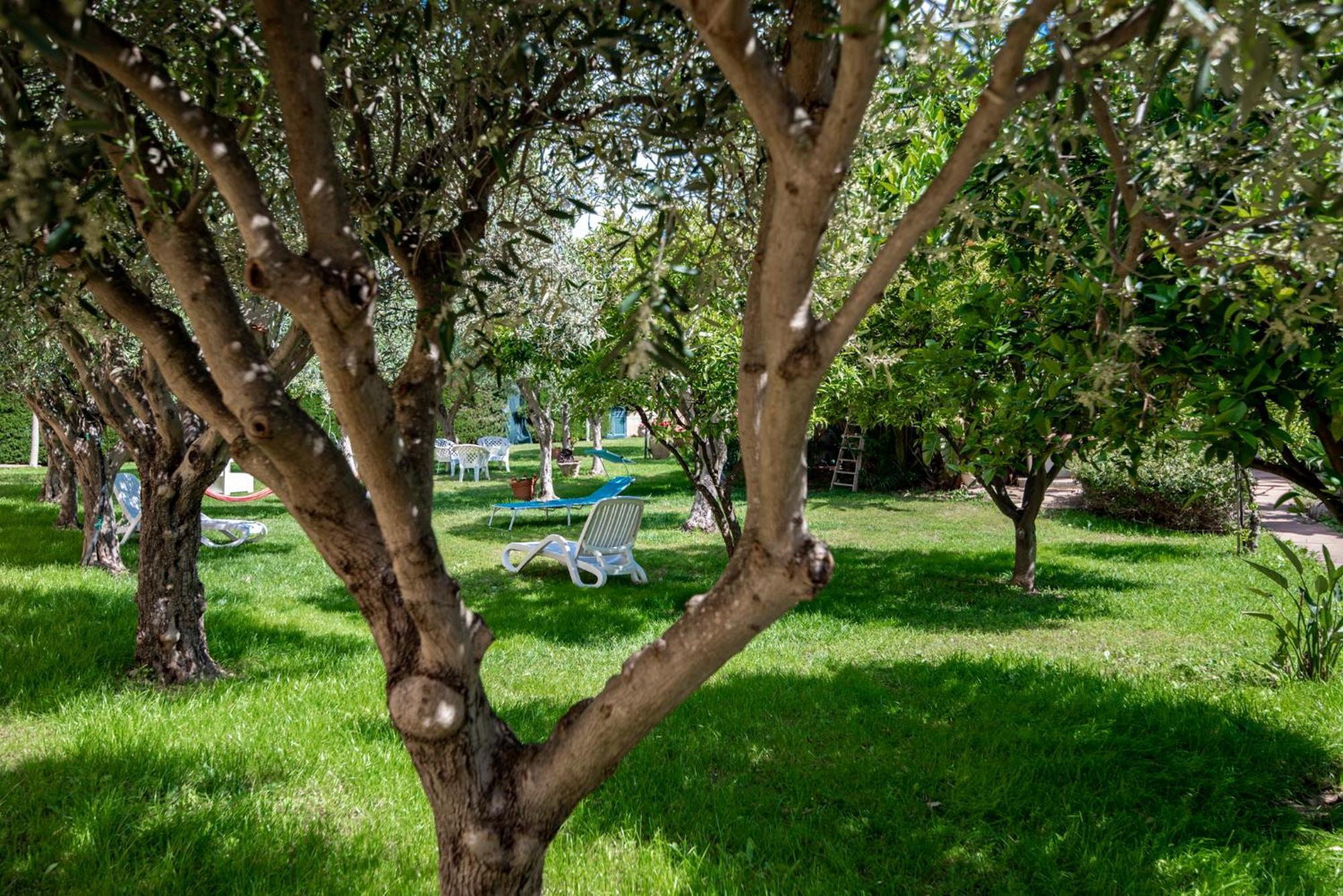 Villa Del Papiro Charme Apartments 阿沃拉 外观 照片